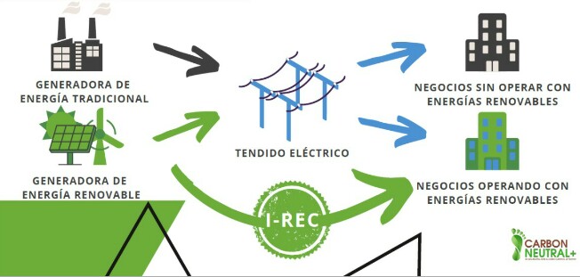 Cómo funcionan los Certificados de Energía Renovable