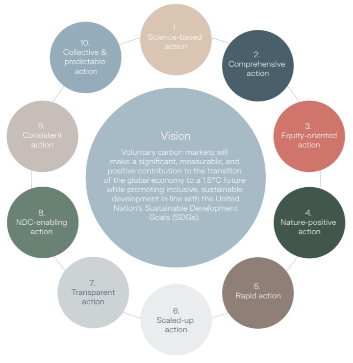 10 propuestas del VCMI para un Mercado Voluntario de Carbono Íntegro y Competitivo