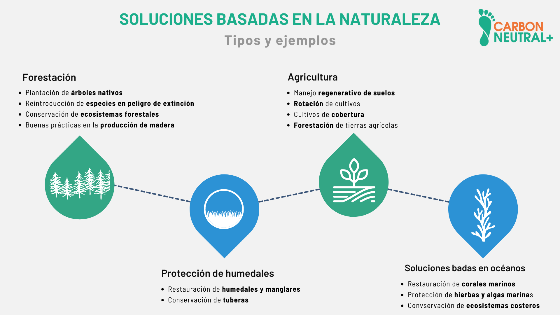 Imagen 1: Resumen de tipos y ejemplos de soluciones basadas en la naturaleza 