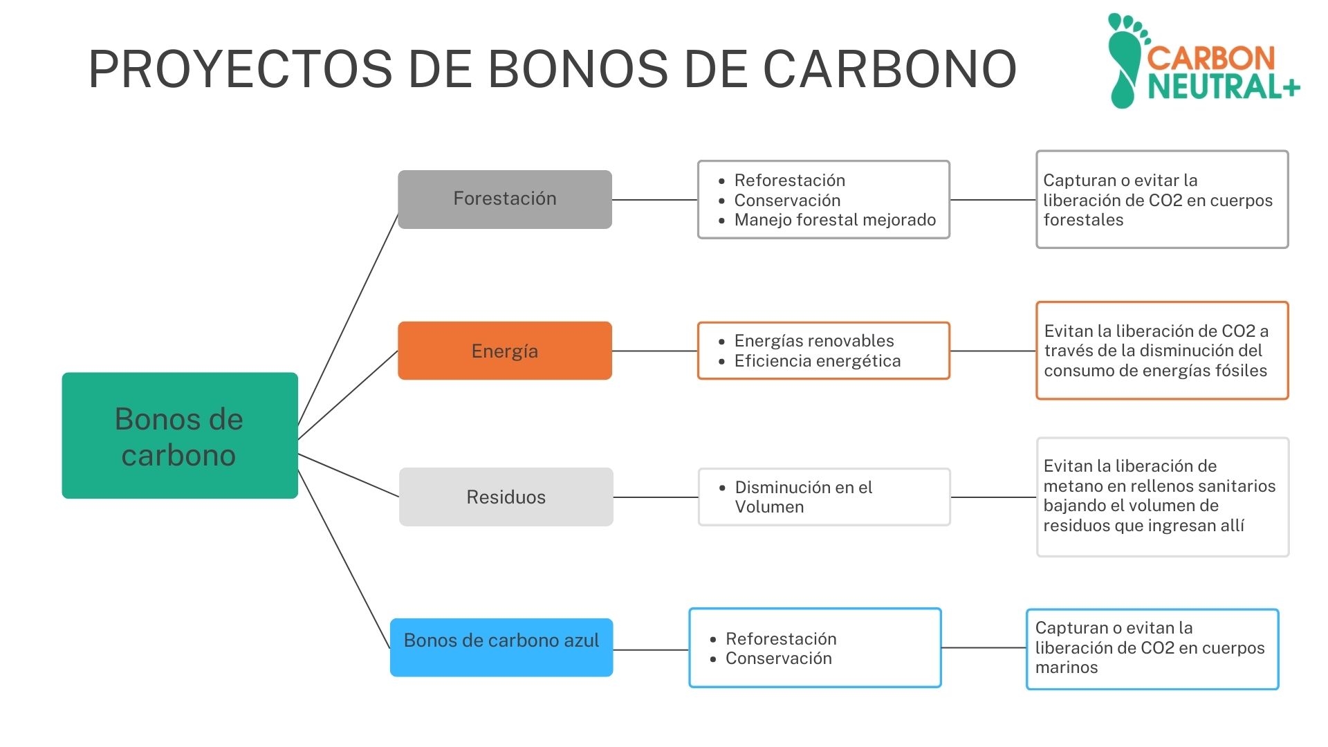 Proyectos de bonos de carbono